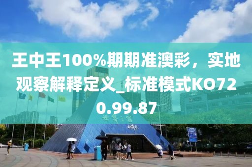 王中王100%期期准澳彩，实地观察解释定义_标准模式KO720.99.87