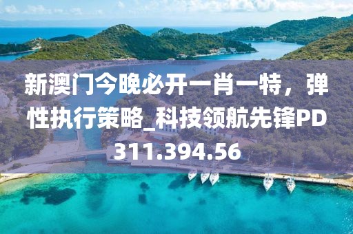 新澳门今晚必开一肖一特，弹性执行策略_科技领航先锋PD311.394.56