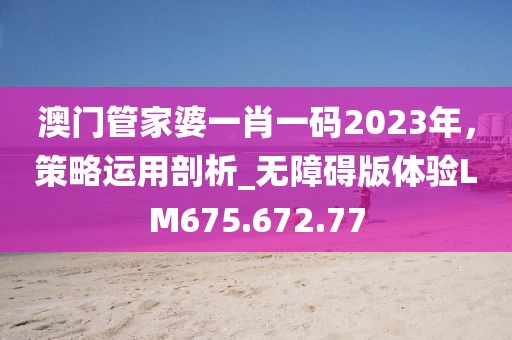 澳门管家婆一肖一码2023年，策略运用剖析_无障碍版体验LM675.672.77