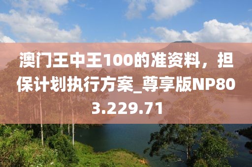 澳门王中王100的准资料，担保计划执行方案_尊享版NP803.229.71