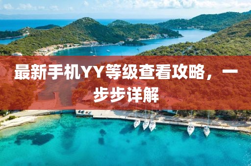 最新手机YY等级查看攻略，一步步详解