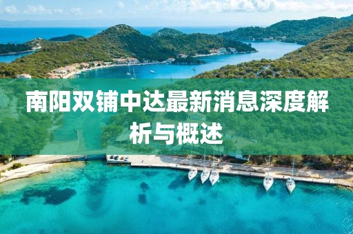南阳双铺中达最新消息深度解析与概述