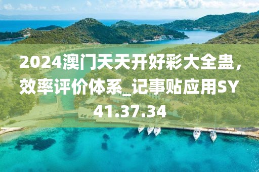 2024澳门天天开好彩大全蛊，效率评价体系_记事贴应用SY41.37.34