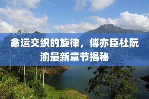 命运交织的旋律，傅亦臣杜阮渝最新章节揭秘