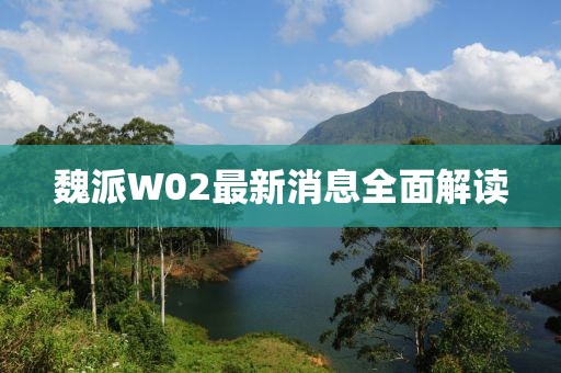 魏派W02最新消息全面解读