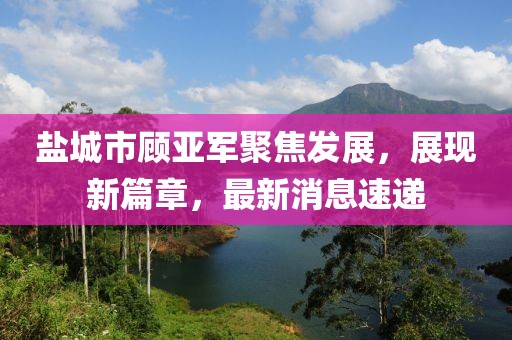 盐城市顾亚军聚焦发展，展现新篇章，最新消息速递