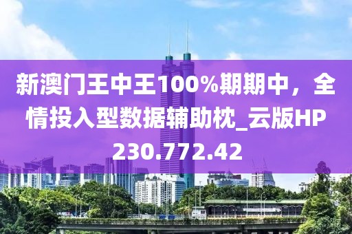 新澳门王中王100%期期中，全情投入型数据辅助枕_云版HP230.772.42