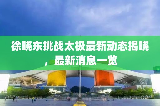徐晓东挑战太极最新动态揭晓，最新消息一览