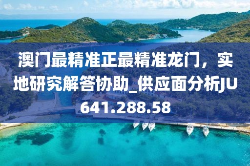澳门最精准正最精准龙门，实地研究解答协助_供应面分析JU641.288.58