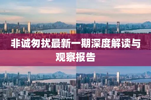 非诚匆扰最新一期深度解读与观察报告