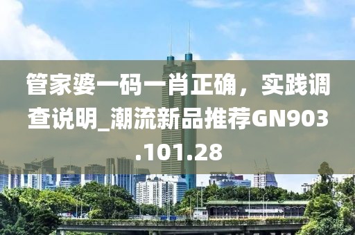 管家婆一码一肖正确，实践调查说明_潮流新品推荐GN903.101.28