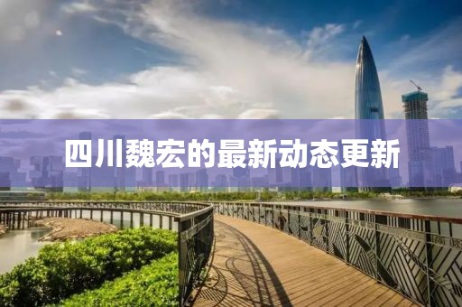 四川魏宏的最新动态更新