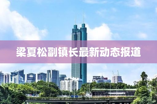 梁夏松副镇长最新动态报道