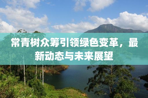 常青树众筹引领绿色变革，最新动态与未来展望