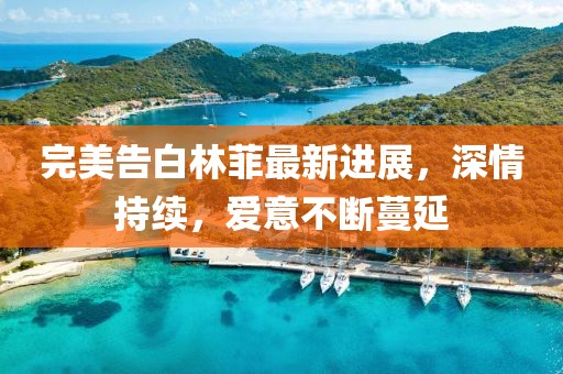 完美告白林菲最新进展，深情持续，爱意不断蔓延