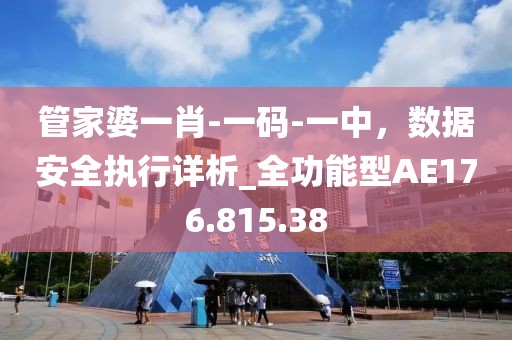 管家婆一肖-一码-一中，数据安全执行详析_全功能型AE176.815.38