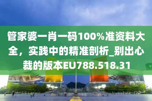 管家婆一肖一码100%准资料大全，实践中的精准剖析_别出心裁的版本EU788.518.31