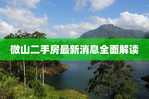 撞进先生怀里 第14页