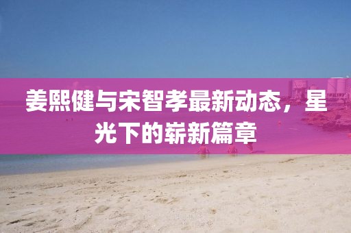 姜熙健与宋智孝最新动态，星光下的崭新篇章