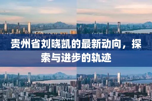 贵州省刘晓凯的最新动向，探索与进步的轨迹
