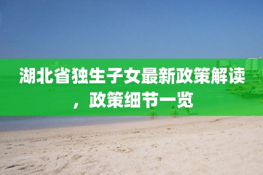 湖北省独生子女最新政策解读，政策细节一览