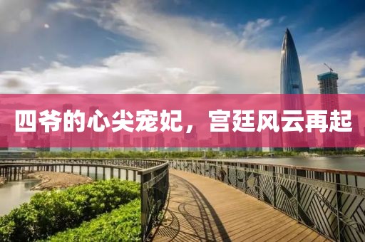 四爷的心尖宠妃，宫廷风云再起