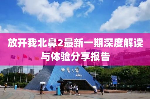 放开我北鼻2最新一期深度解读与体验分享报告