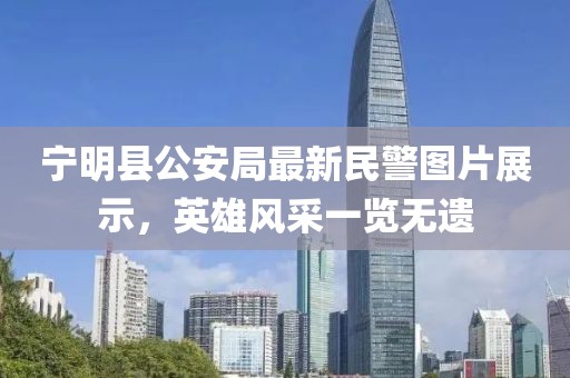 2025年2月 第481页