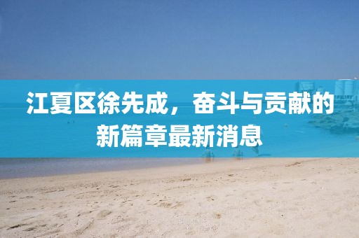 江夏区徐先成，奋斗与贡献的新篇章最新消息