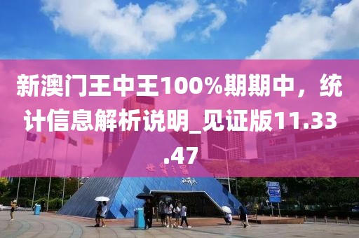 新澳门王中王100%期期中，统计信息解析说明_见证版11.33.47