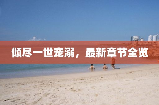 倾尽一世宠溺，最新章节全览