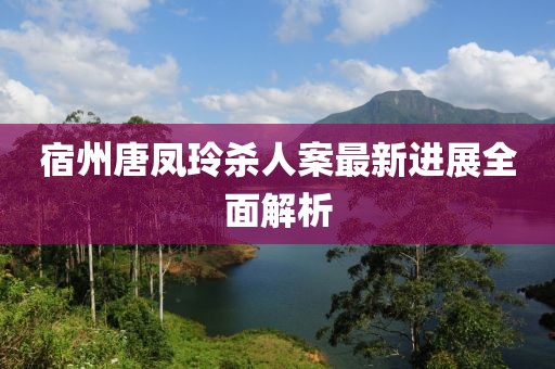 宿州唐凤玲杀人案最新进展全面解析