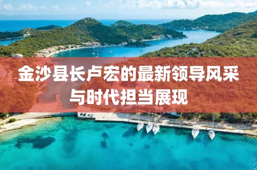 金沙县长卢宏的最新领导风采与时代担当展现