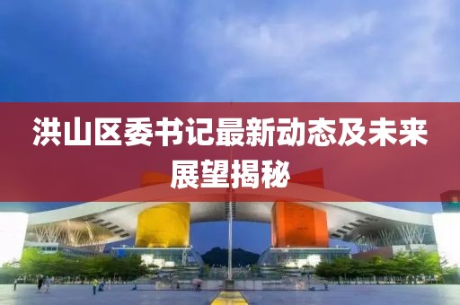 洪山区委书记最新动态及未来展望揭秘