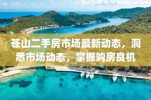 苍山二手房市场最新动态，洞悉市场动态，掌握购房良机