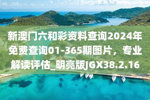 新澳门六和彩资料查询2024年免费查询01-365期图片，专业解读评估_明亮版JGX38.2.16