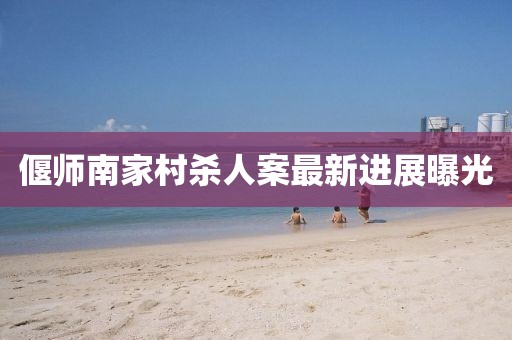偃师南家村杀人案最新进展曝光