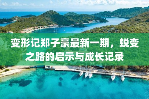 变形记郑子豪最新一期，蜕变之路的启示与成长记录