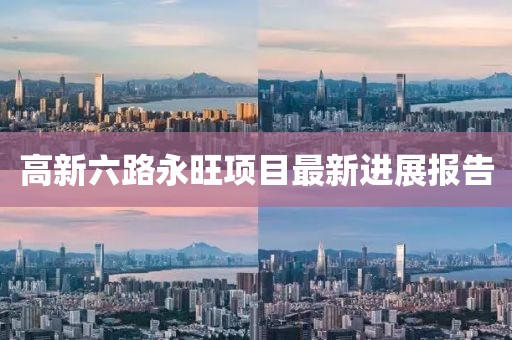 高新六路永旺项目最新进展报告