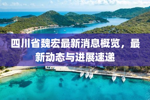 四川省魏宏最新消息概览，最新动态与进展速递