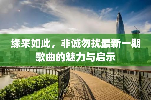 缘来如此，非诚勿扰最新一期歌曲的魅力与启示