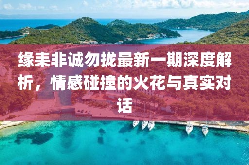 缘耒非诚勿拢最新一期深度解析，情感碰撞的火花与真实对话