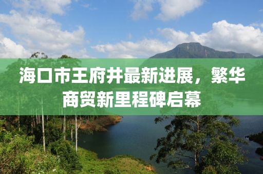 海口市王府井最新进展，繁华商贸新里程碑启幕