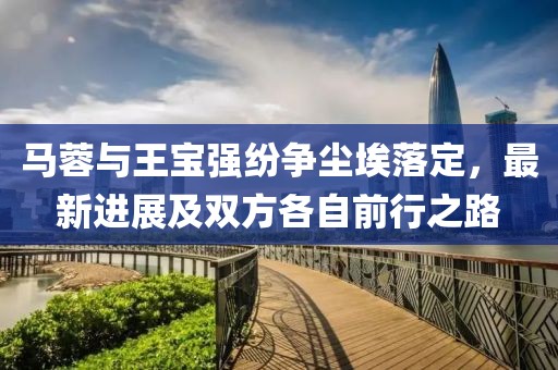 马蓉与王宝强纷争尘埃落定，最新进展及双方各自前行之路