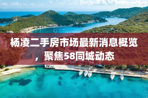 杨凌二手房市场最新消息概览，聚焦58同城动态