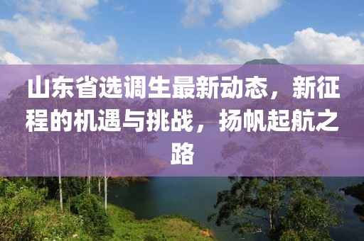 山东省选调生最新动态，新征程的机遇与挑战，扬帆起航之路