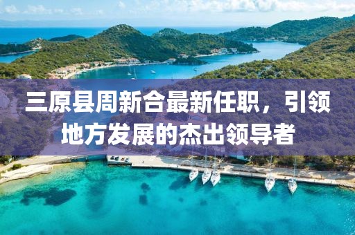 三原县周新合最新任职，引领地方发展的杰出领导者