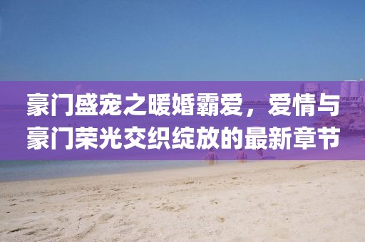 豪门盛宠之暖婚霸爱，爱情与豪门荣光交织绽放的最新章节