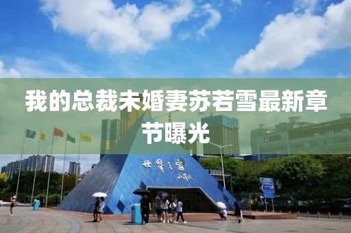 我的总裁未婚妻苏若雪最新章节曝光
