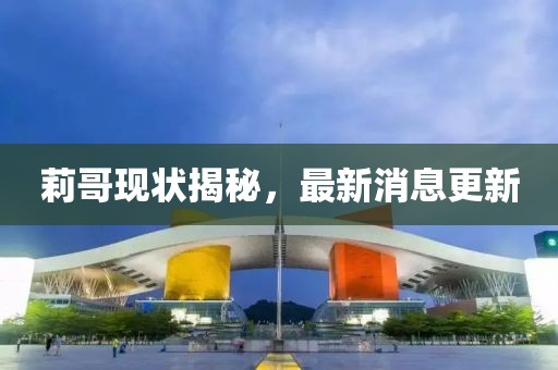 莉哥现状揭秘，最新消息更新